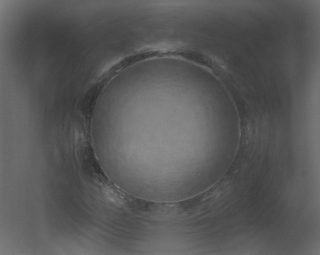 X0000051881158200506241406