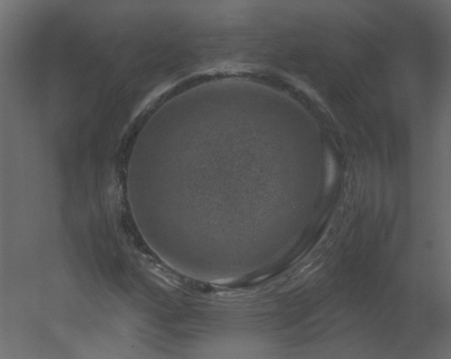 X0000051881160200506241406