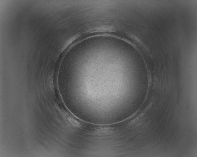 X0000051881162200506241406