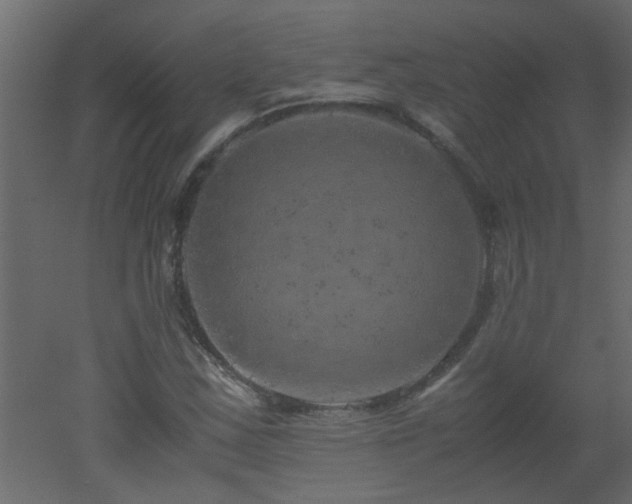 X0000051881163200506241406