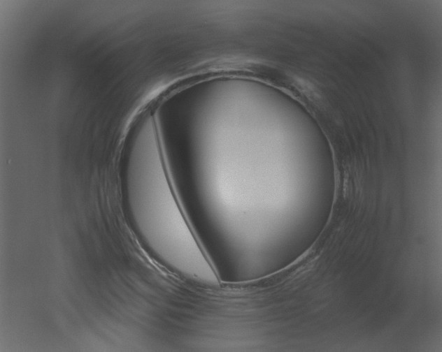 X0000051881164200506241406