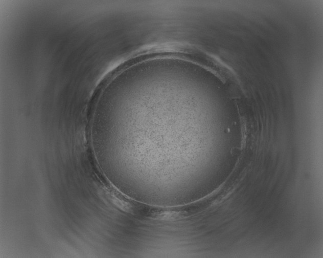 X0000051881166200506241406