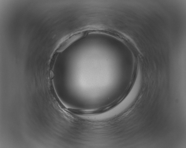 X0000051881168200506241406
