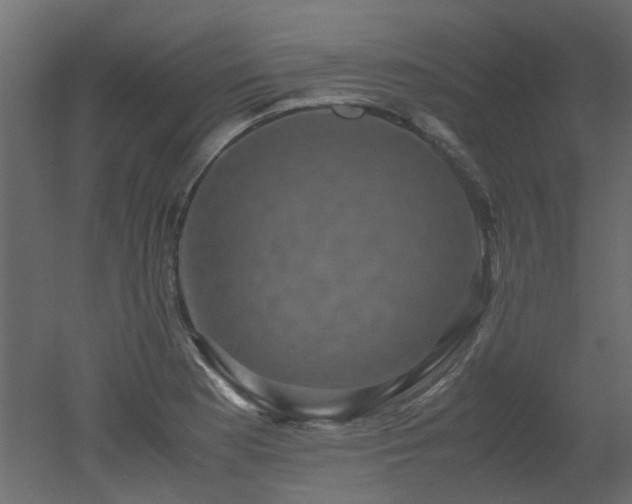 X0000051881177200506241405