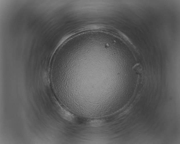 X0000051881178200506241405