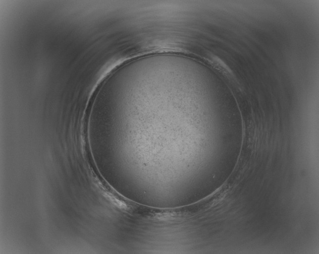 X0000051881182200506241405