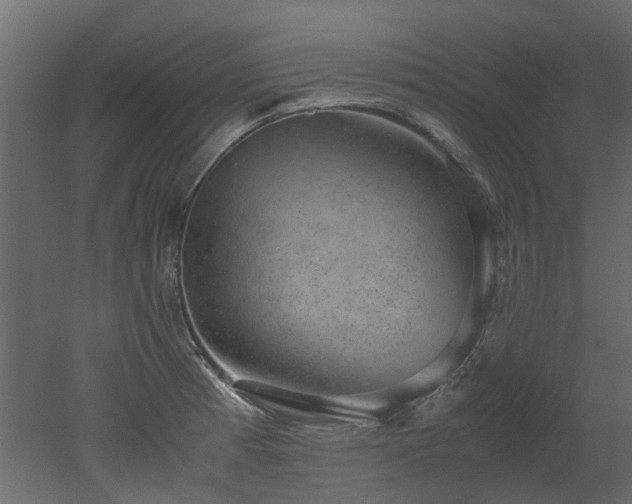 X0000051881185200506241405