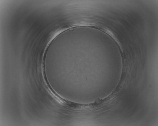 X0000051881187200506241405