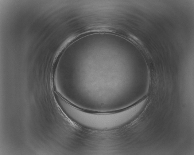 X0000051881188200506241405