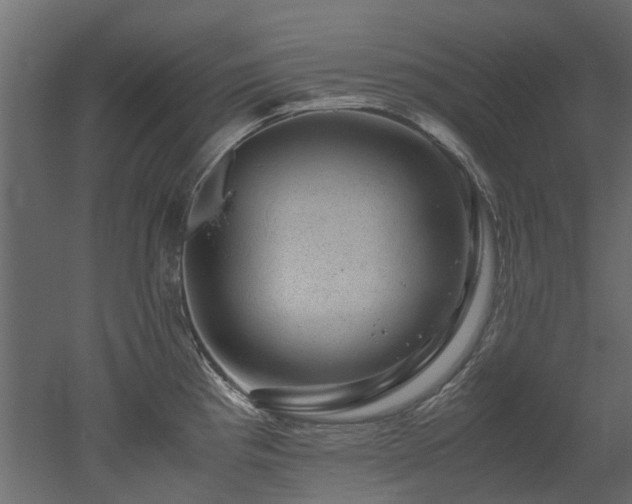 X0000051881193200506241405