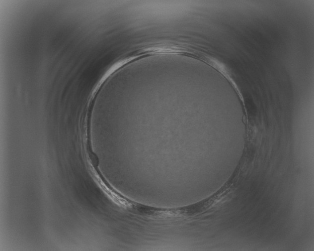 X0000051881195200506241405