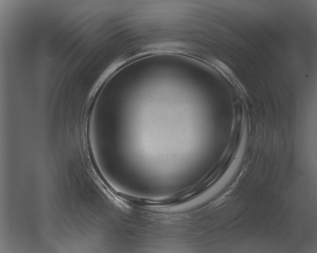 X0000051881196200506241405