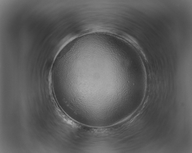 X0000051881198200506241405