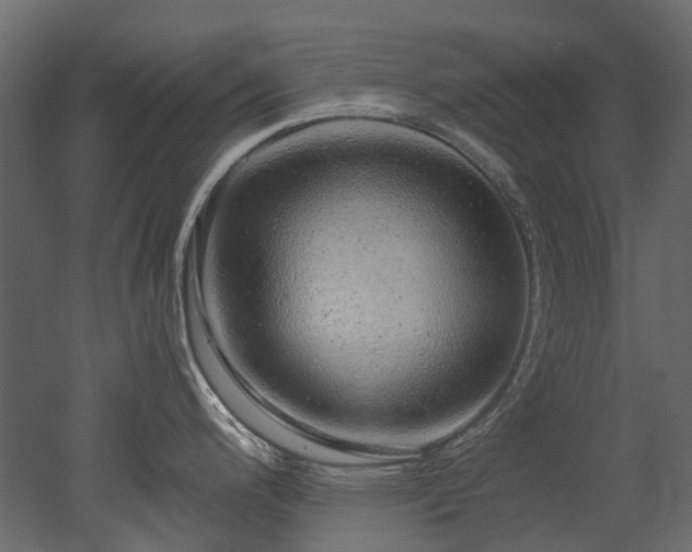 X0000051881200200506241405