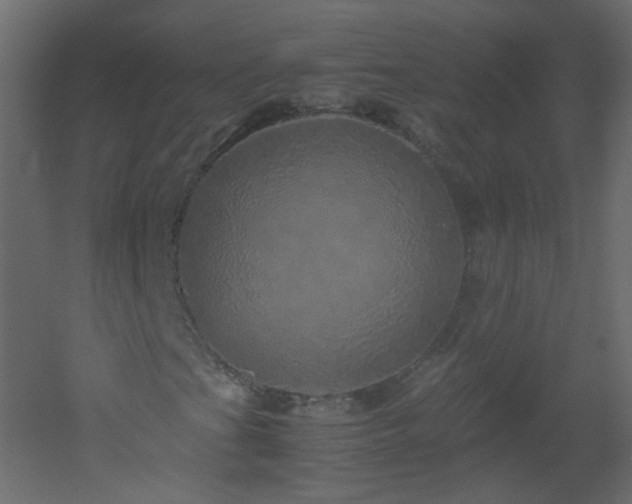 X0000051881201200506241404
