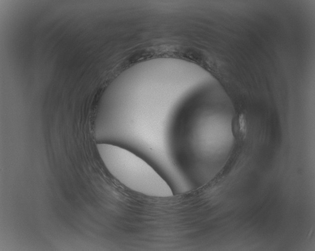 X0000051881203200506241404