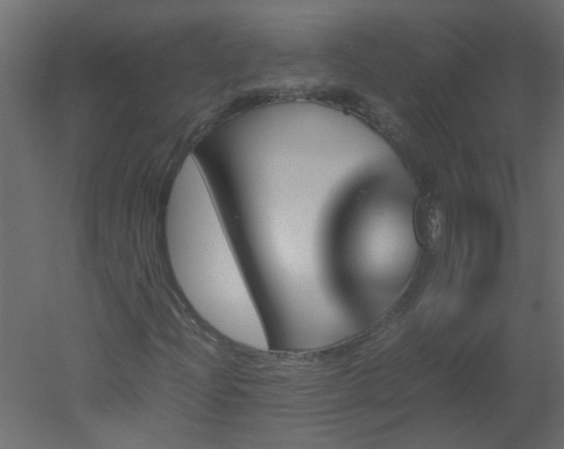 X0000051881204200506241404