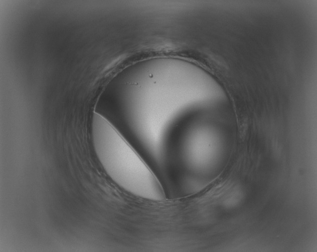 X0000051881205200506241404