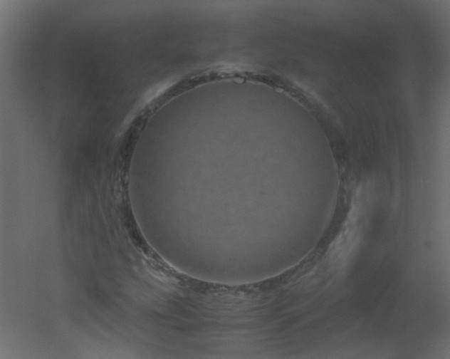 X0000051881207200506241404
