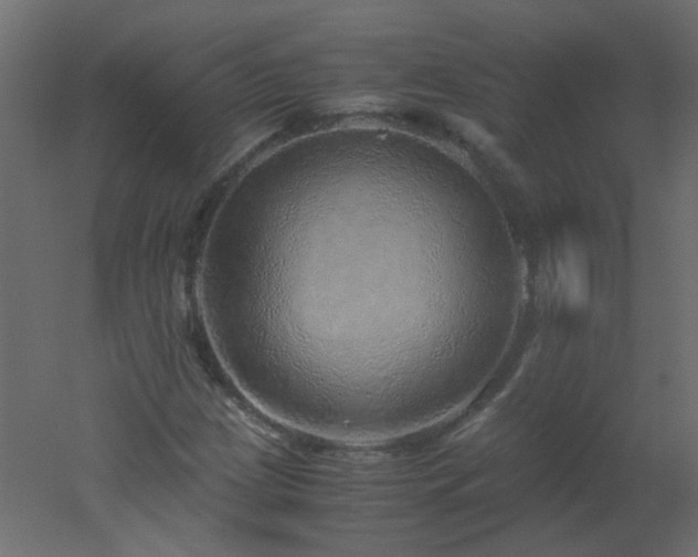 X0000051881209200506241404