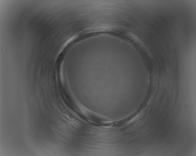 X0000051881210200506241404