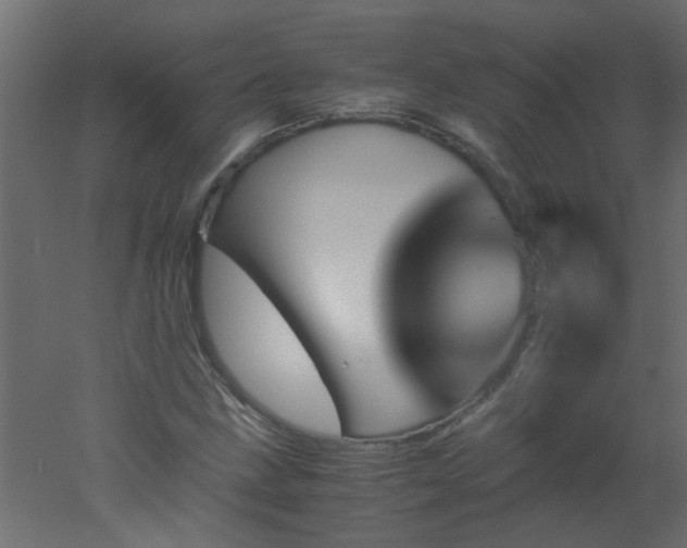 X0000051881211200506241404