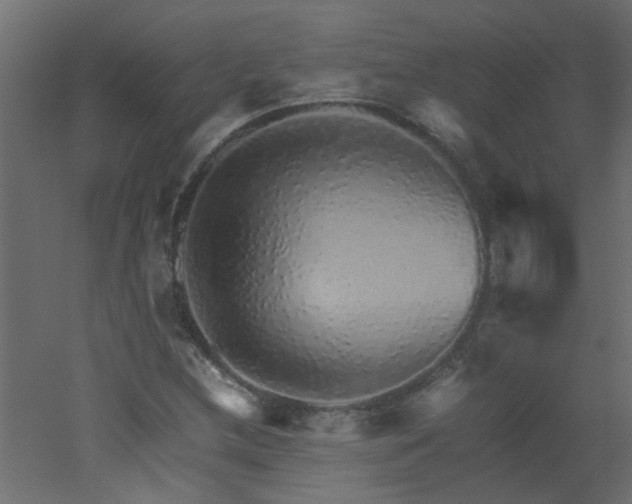 X0000051881212200506241404