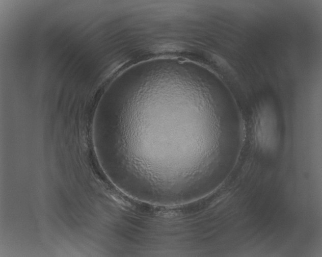 X0000051881217200506241404