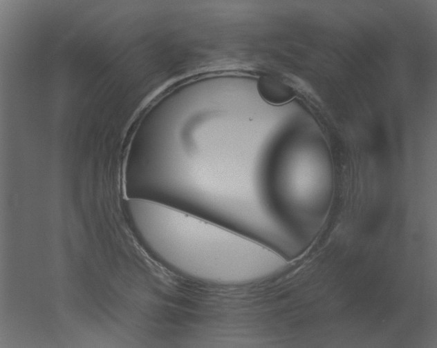 X0000051881220200506241405