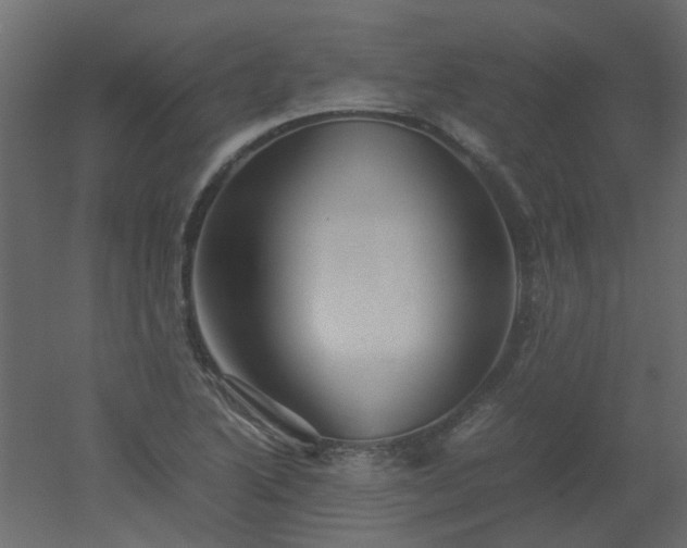 X0000051881222200506241405