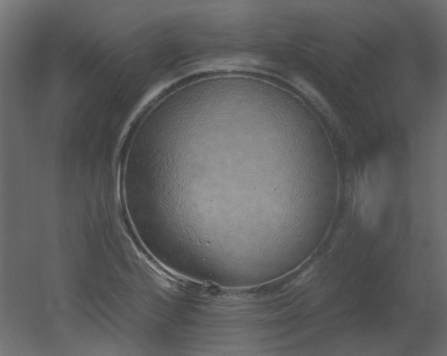 X0000051881224200506241405