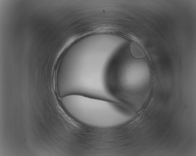 X0000051881227200506241405