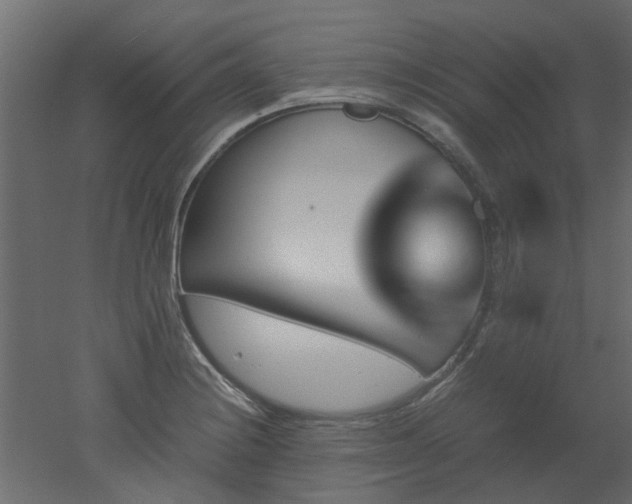 X0000051881228200506241405