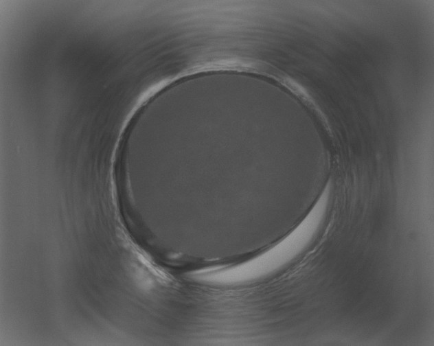 X0000051881230200506241405
