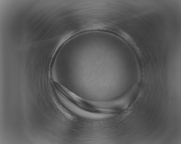 X0000051881234200506241405