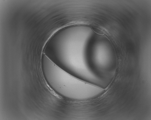 X0000051881236200506241405