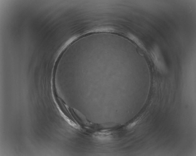 X0000051881237200506241405