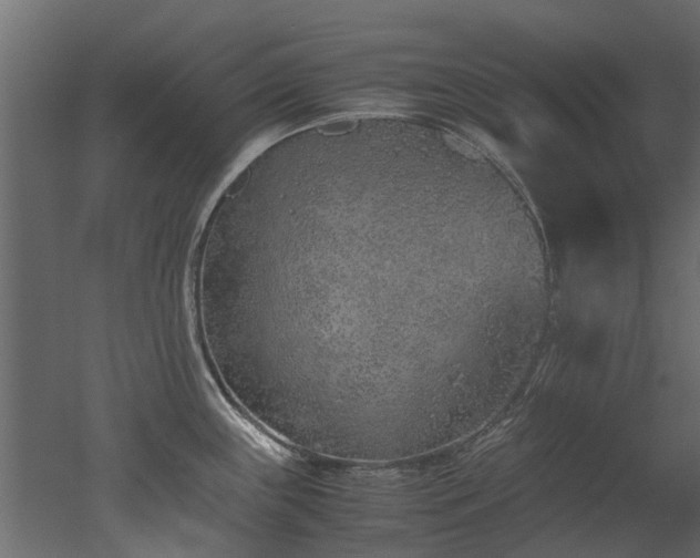 X0000051881243200506241405