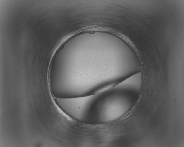 X0000051881247200506241405