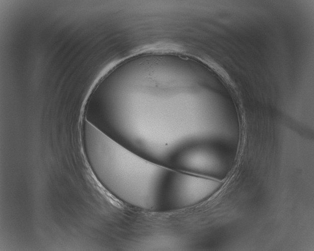 X0000051881248200506241405