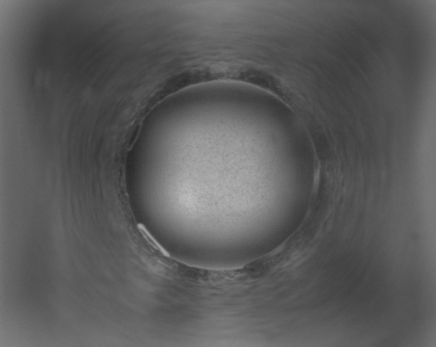 X0000051881249200506241404