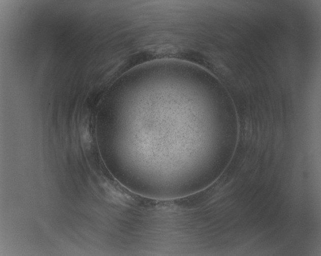 X0000051881250200506241404