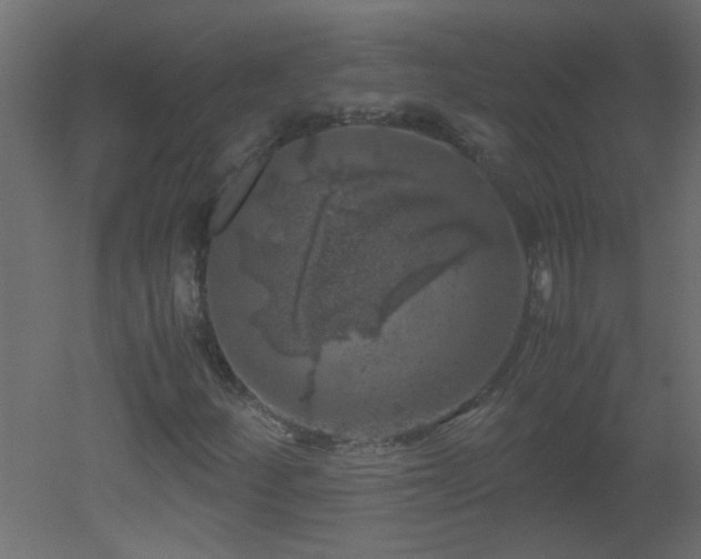 X0000051881252200506241404