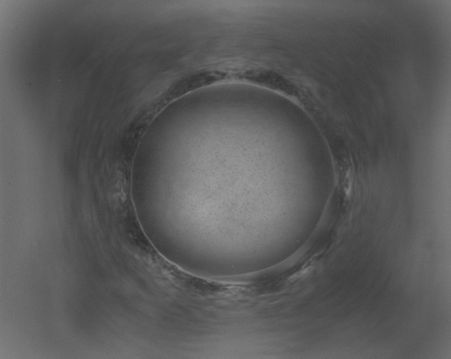 X0000051881253200506241404
