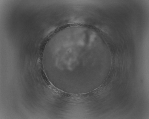 X0000051881254200506241404