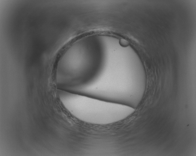 X0000051881255200506241404