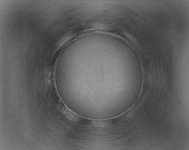 X0000051881258200506241404