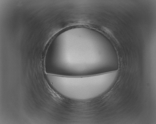 X0000051881260200506241404