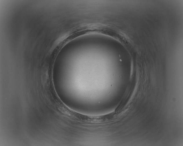 X0000051881261200506241404