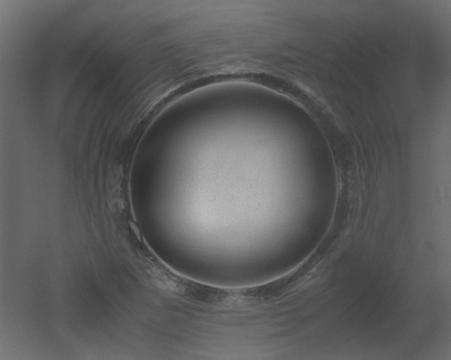 X0000051881265200506241404